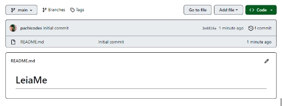 repositorio com readme vazio