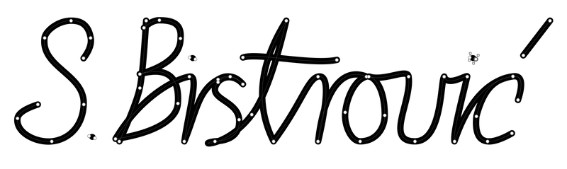 Sketch 应用程序中 SVG 签名路径的屏幕截图。