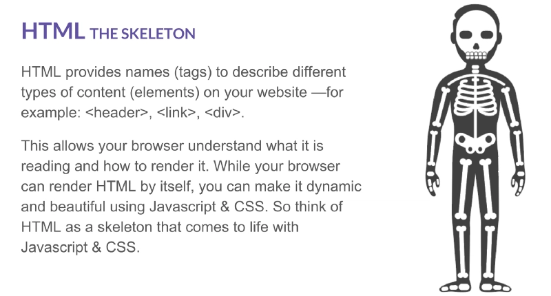 html(1).png
