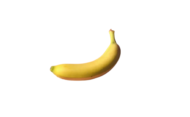无背景的随机图像