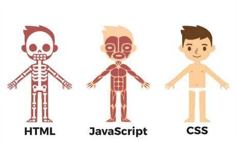 Html、Css 和 JavaScript 插图