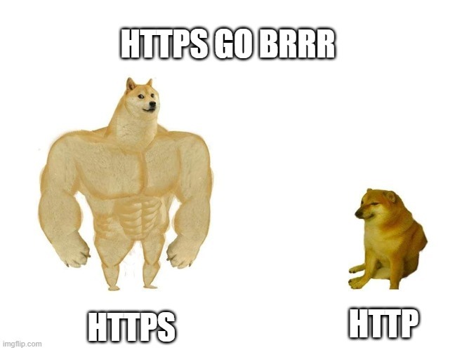 HTTPS GO BRRR - 劫持的 shibe 标记为 HTTPS，悲伤的 shibe 标记为 HTTP