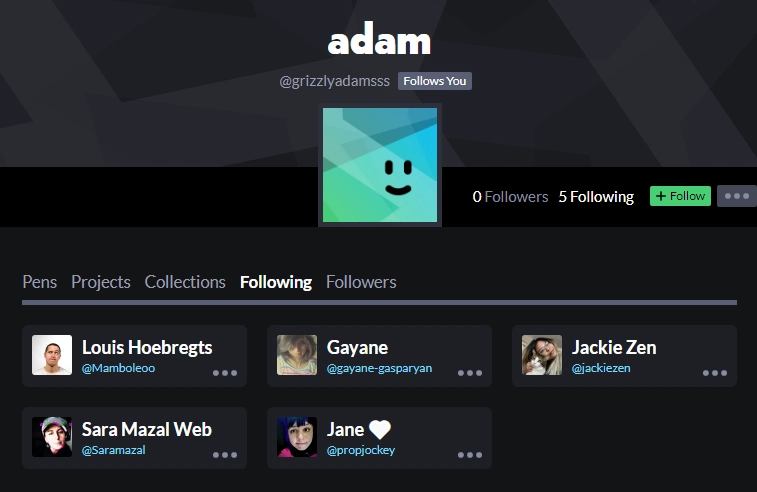 Adam 在 CodePen 上关注的用户截图，我的个人资料是第一个关注的