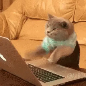 。
