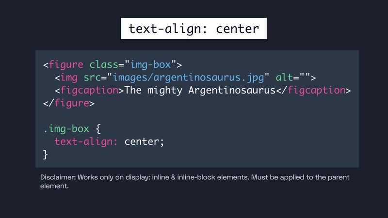 使用 text-align: center css 将图像和文本居中