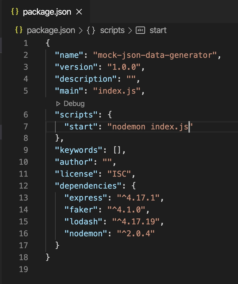 package.json