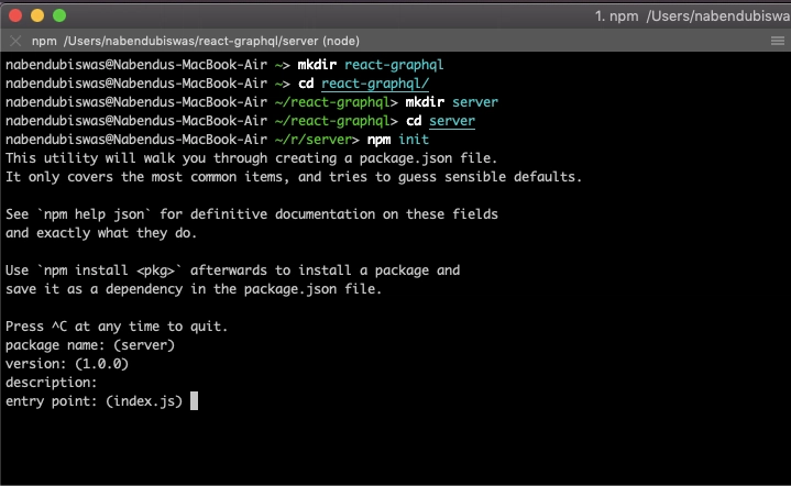 npm init