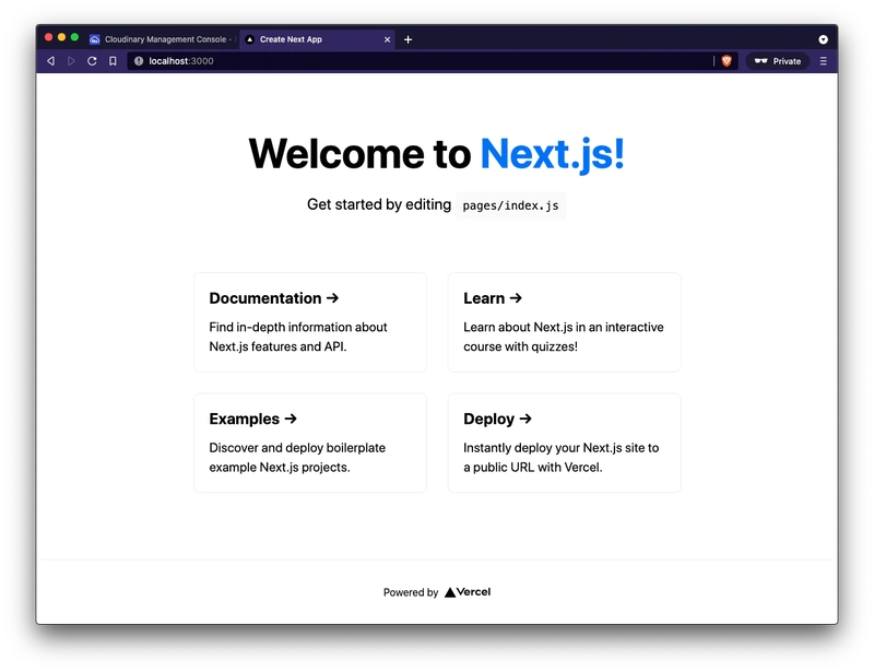 这是新开发的 Next.js 应用首页的截图。标题为: