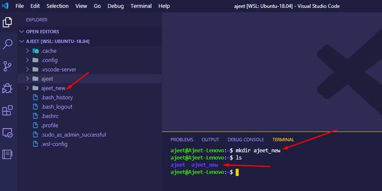在 WSL VS Code 编辑器中创建文件夹