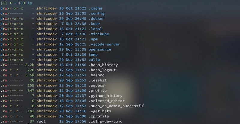 exa cli 工具