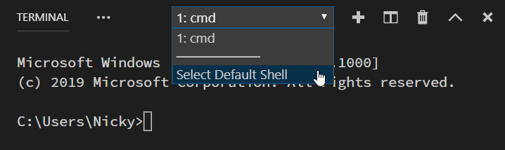 在 Visual Studio Code 中选择终端