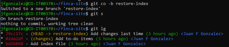 Git 新分支