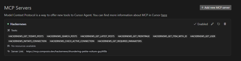 mcp 服务器确认