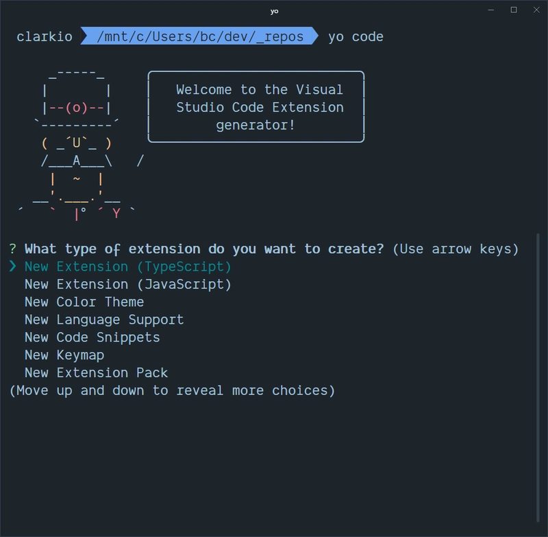 使用 VS Code 的 Yeoman 生成器并选择“新扩展 (TypeScript)”的终端/命令行提示符