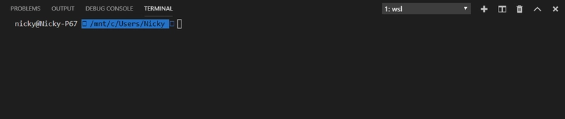丑啊我的天啊 ZSH