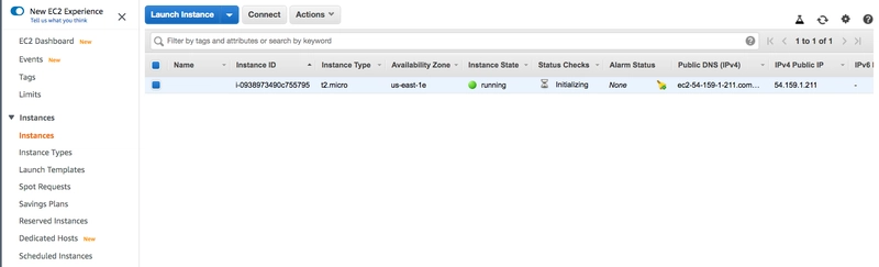 ec2_instance_first_initializing