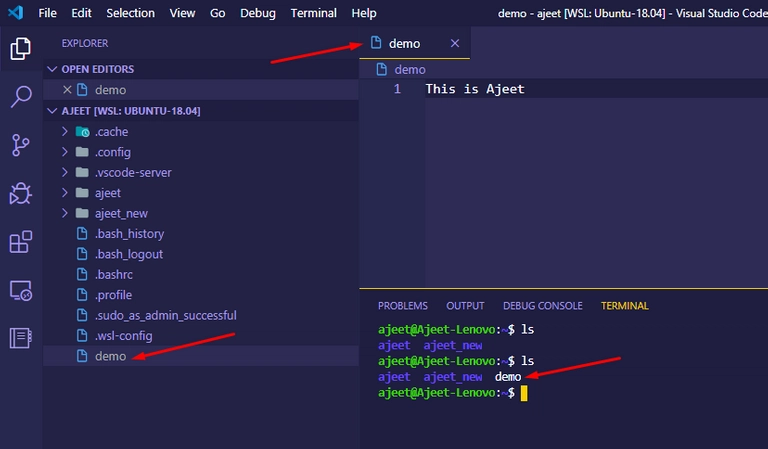 WSL 内部由 VS Code 创建的文件