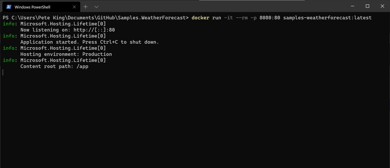 终端运行 docker run