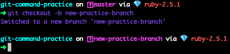 git checkout -b new-practice-branch 的终端截图