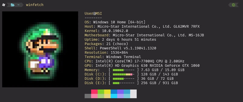 winfetch 最终结果