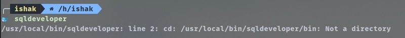 执行sqldeveloper错误
