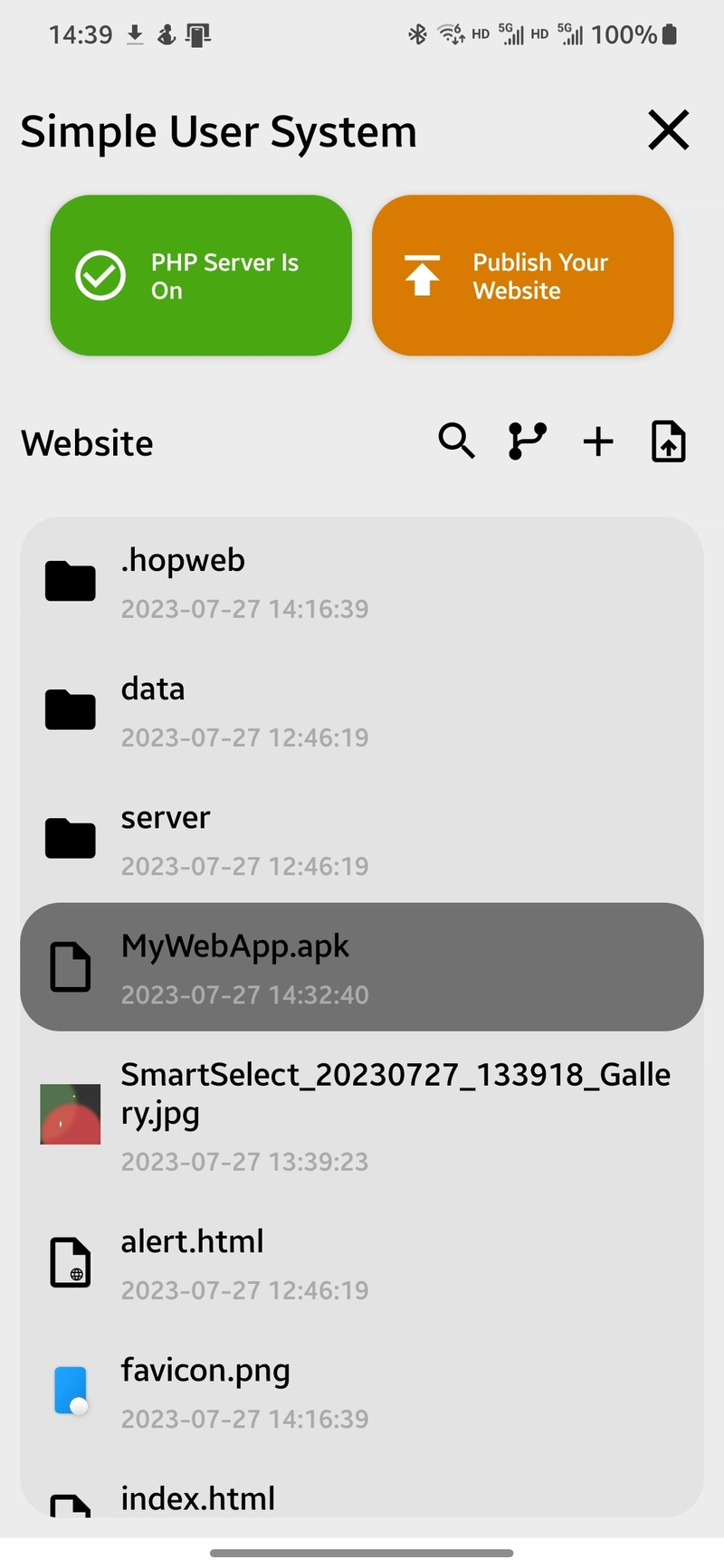 文件列表中的 APK 文件