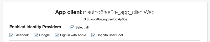 Cognito 应用程序客户端设置