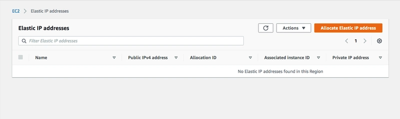 elastic_ip_addresses