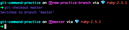 git checkout master 的终端截图