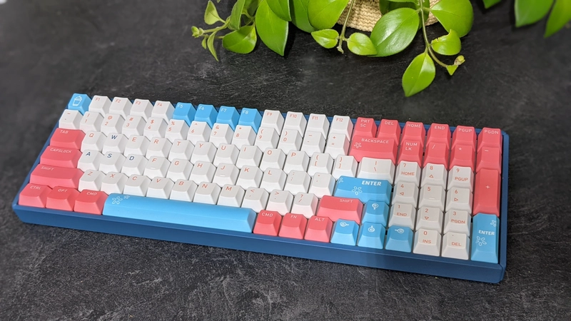 替代文本
