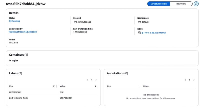 测试 Pod 运行在内部托管节点上