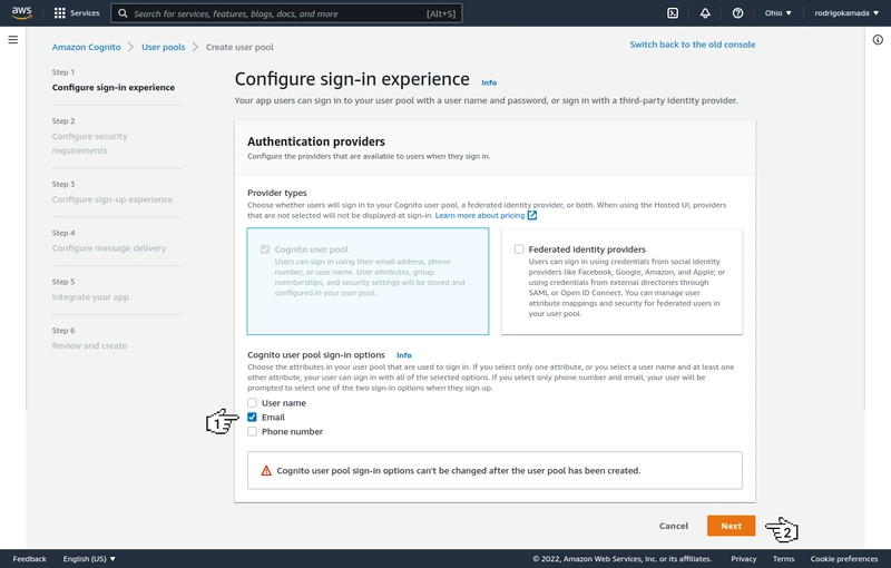 Amazon Cognito - 配置登录体验