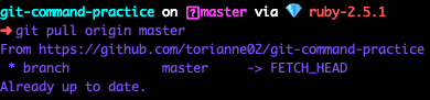 git pull origin master 的终端截图