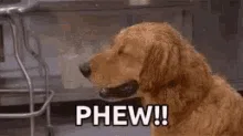 呼