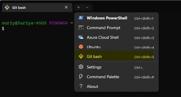 Windows 终端中的 Git Bash