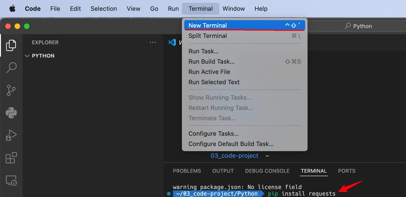 如何使用 Python 调用 DeepSeek-R1 API