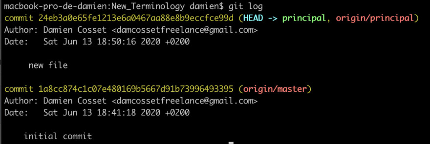 Git 登录主分支