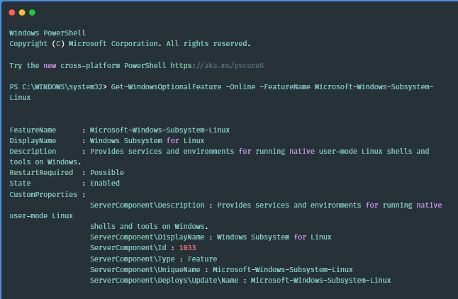 2用于检查 WSL 的 Windows 命令