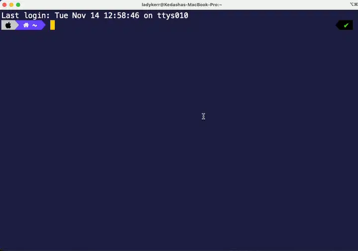 副驾驶解释快速流程
