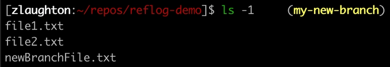 ls -1 命令的屏幕截图