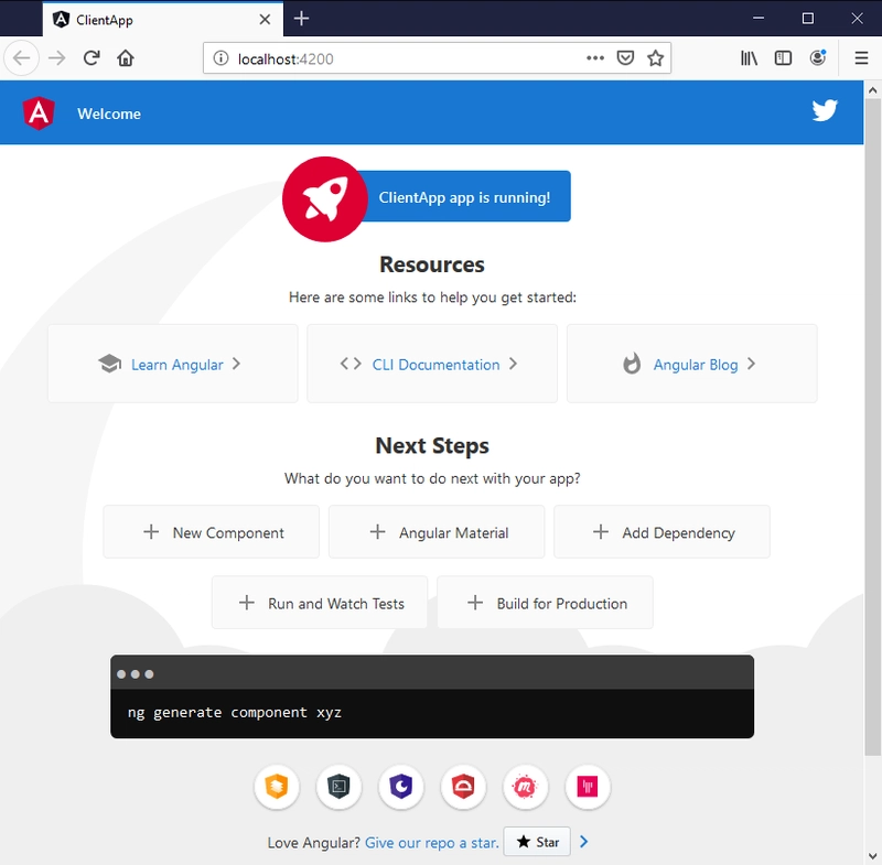 浏览器中的 Angular 模板应用