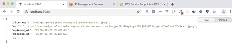 来自我们的 Laravel 应用程序的 JSON 图像对象的屏幕截图