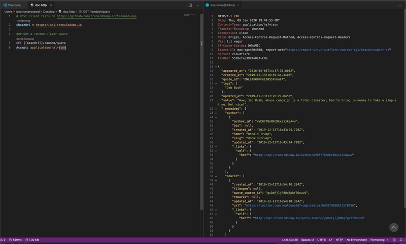 doc.http 响应预览到 VS Code