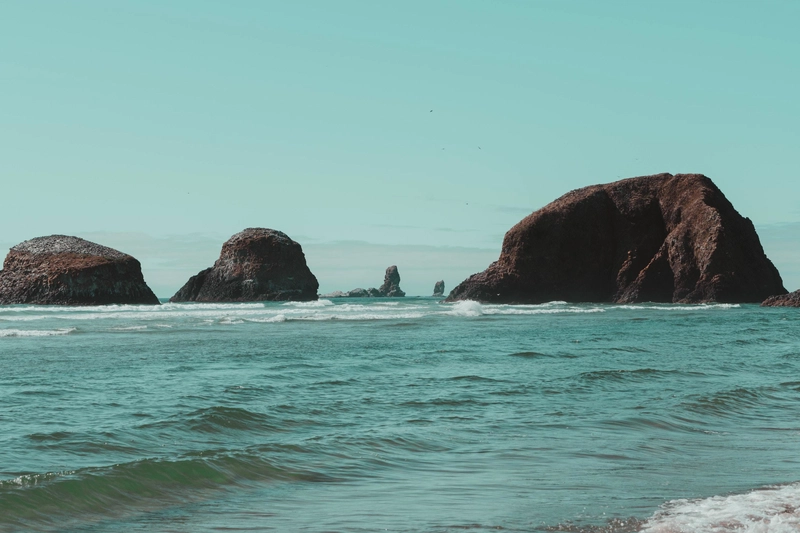 照片由 Emilie Farris 在 Unsplash 上拍摄