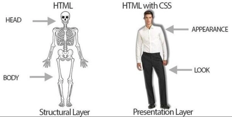 HTML CSS