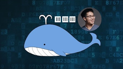 面向忙碌开发人员和 DevOps 的 Docker 速成课程回顾