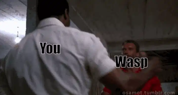 wasp_arnie_握手