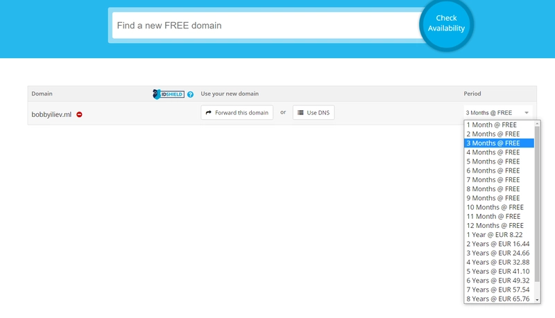 免费域名 12 个月