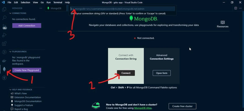 MongoDB VS Code 面板