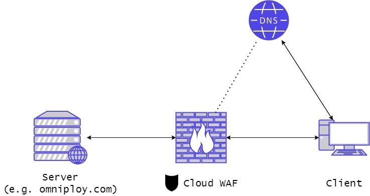 典型连接中云WAF的表示